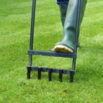 Comment aérer sa pelouse : pas à pas pour un gazon sain