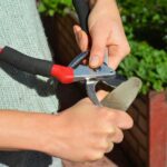Comment bien aiguiser son sécateur ?