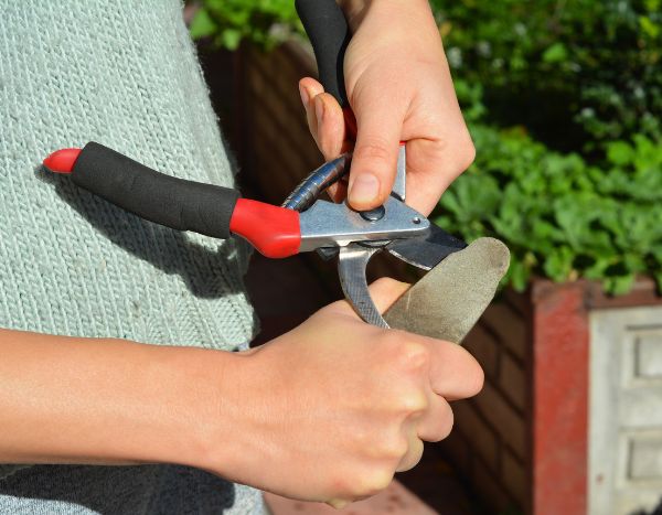 Comment bien aiguiser son sécateur ?