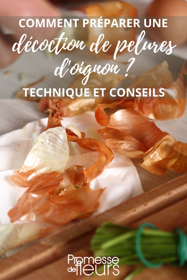 utiliser les pelures d'oignons