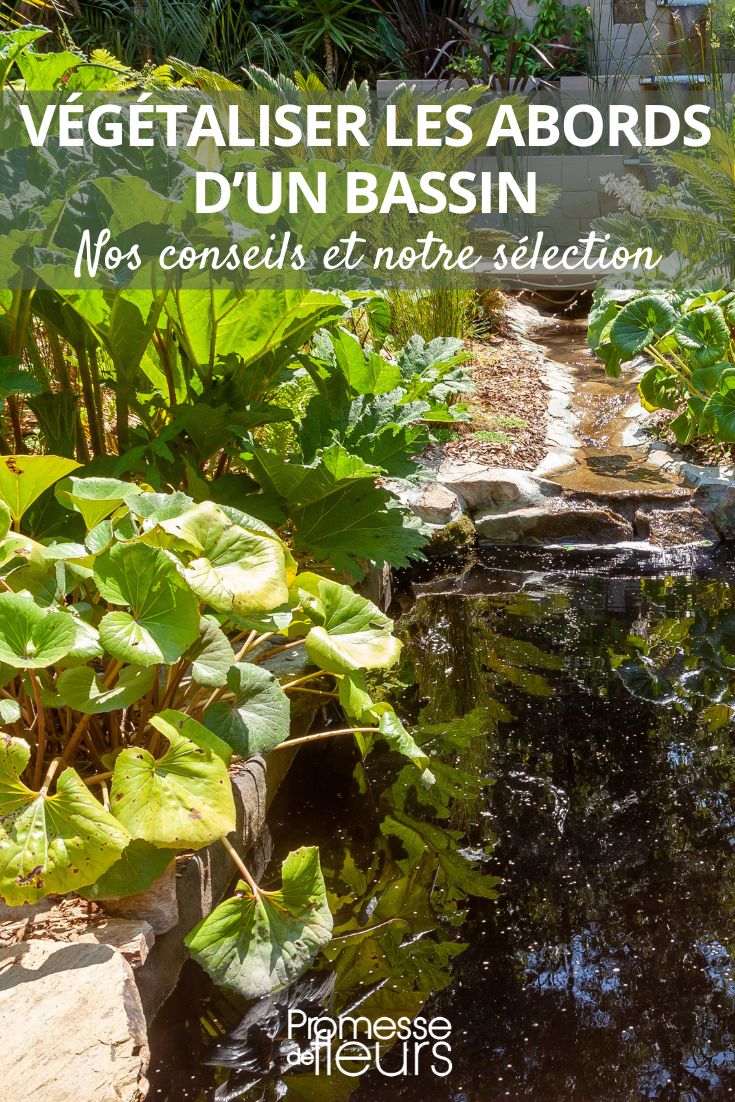 aménager les abords d'un bassin