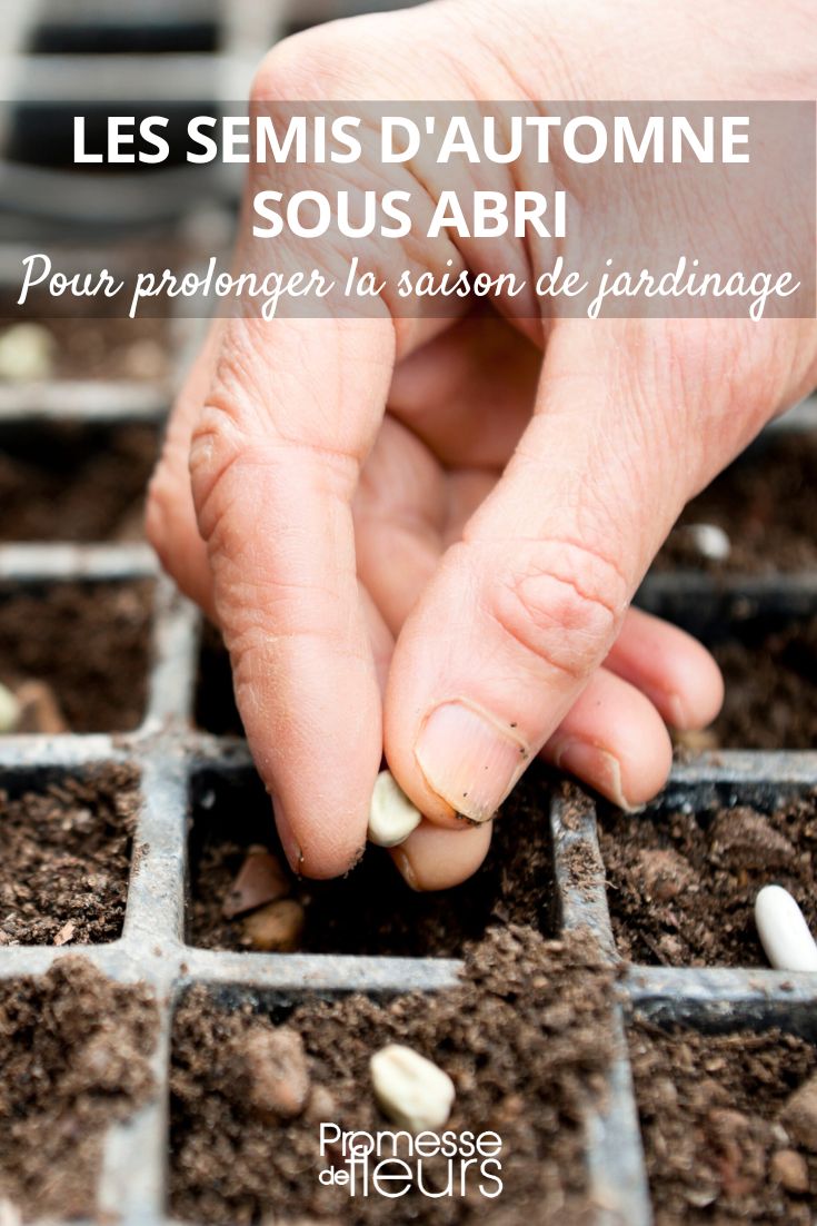 semer en automne
