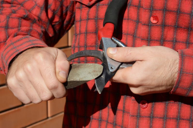 secateur avec pierre à aiguiser