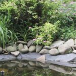 Les meilleures vivaces pour égayer les zones d’ombre humide