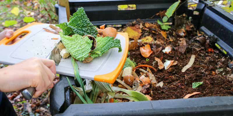 Composter epluchures de legumes