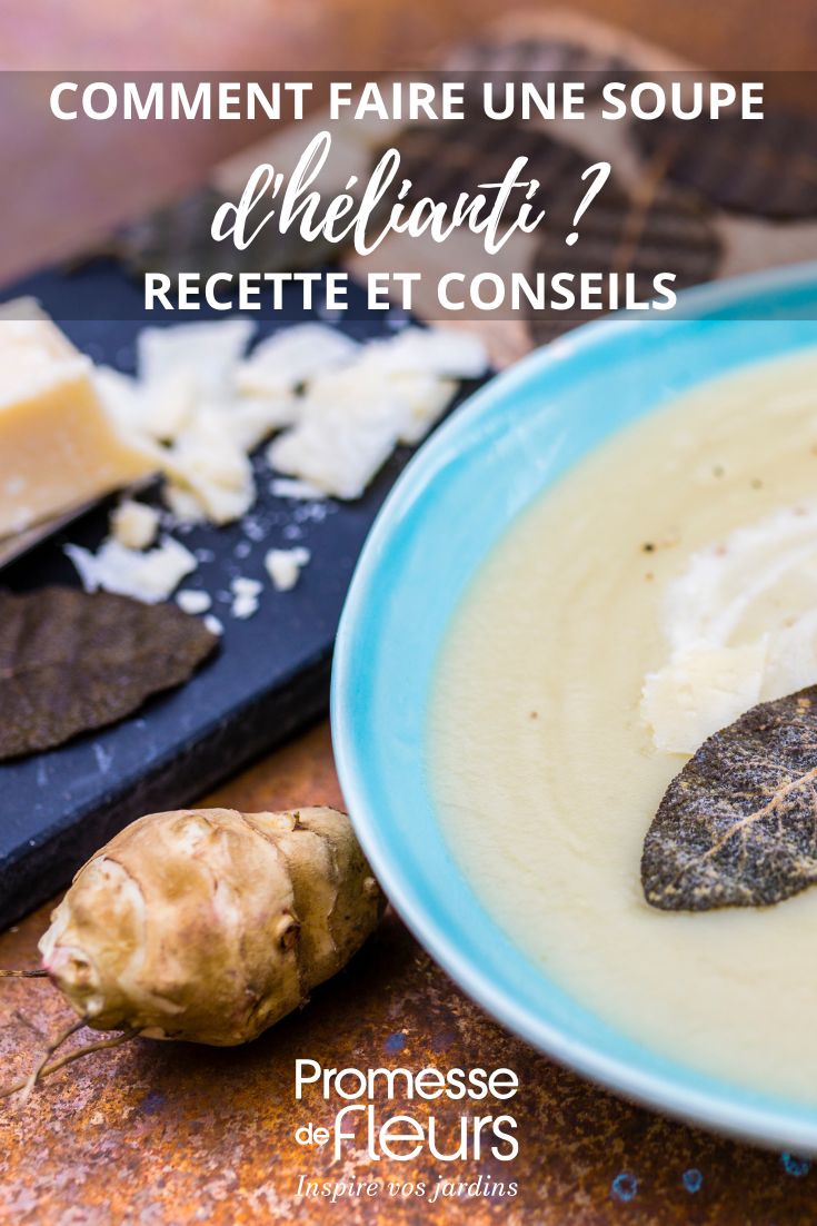 helianthis idee cuisine