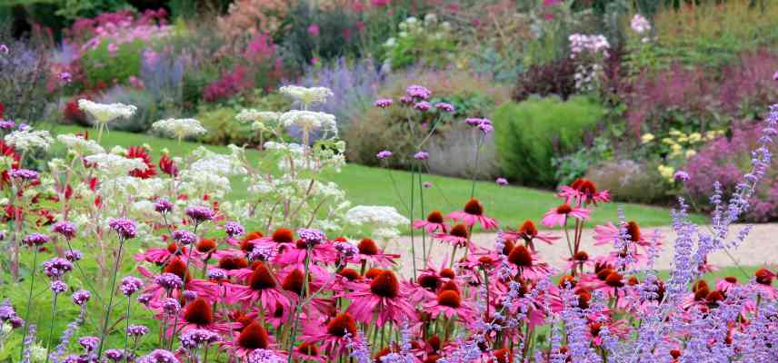 botanique inflorescences exemples