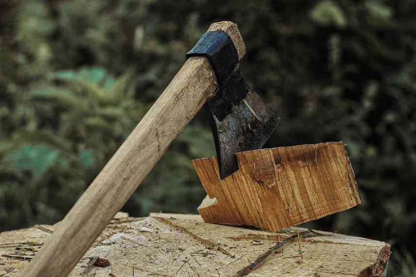 outils jardin comment choisir debutant