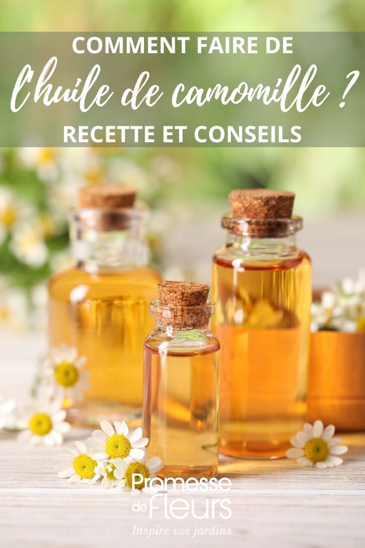 recette huile camomille