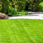 Comment entretenir son gazon au printemps ?