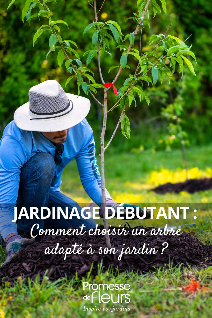 comment choisir son arbre