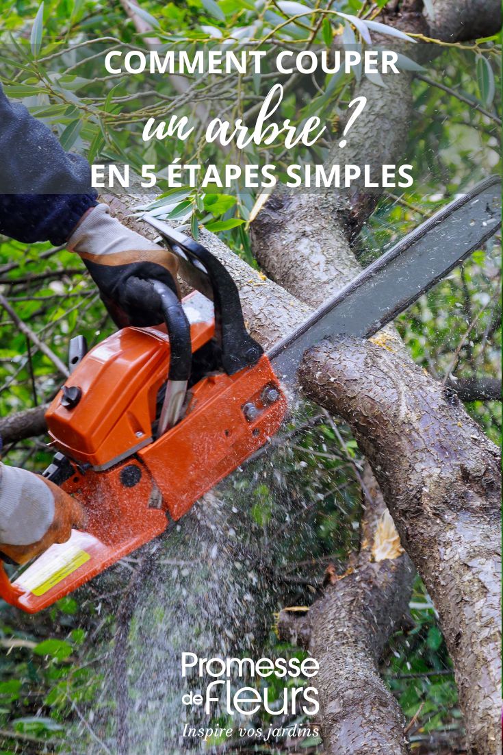 tronçonner un arbre