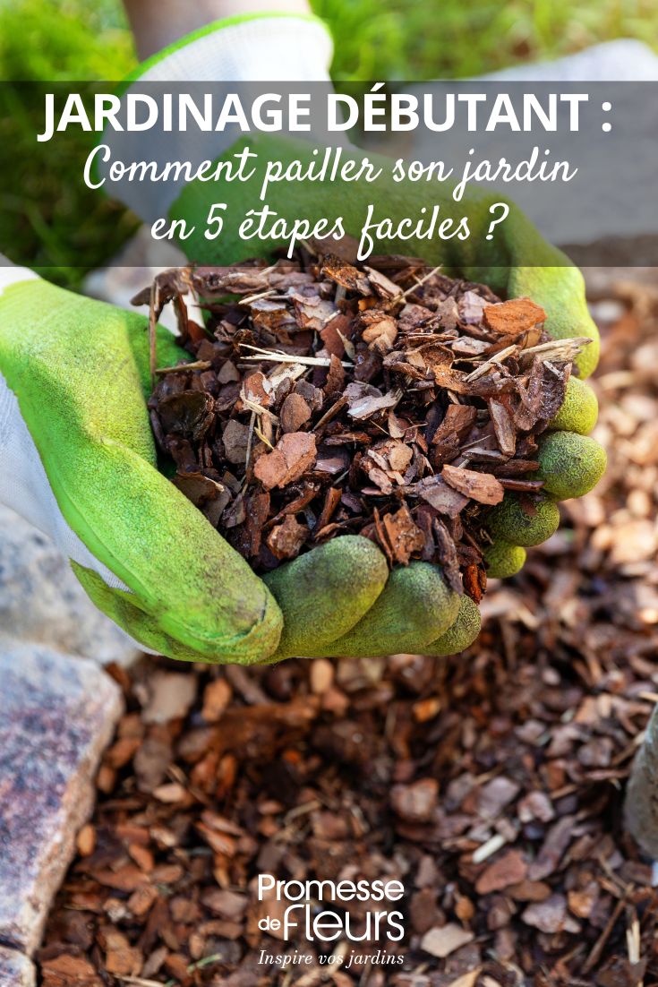 paillage d'écorce de pin