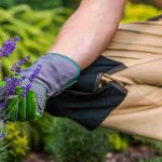 Je n’ai pas la main verte : pourquoi ?