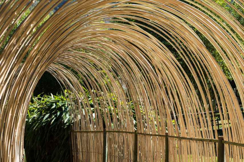 tunnel bambou Anduze