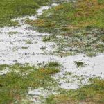 Tout savoir sur le drainage du sol au jardin