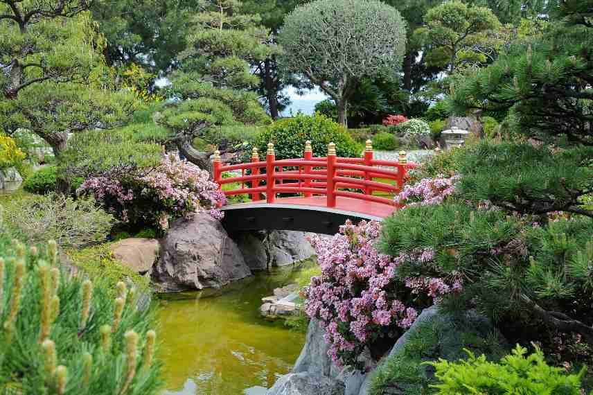 utilisation du bois jardin japonais