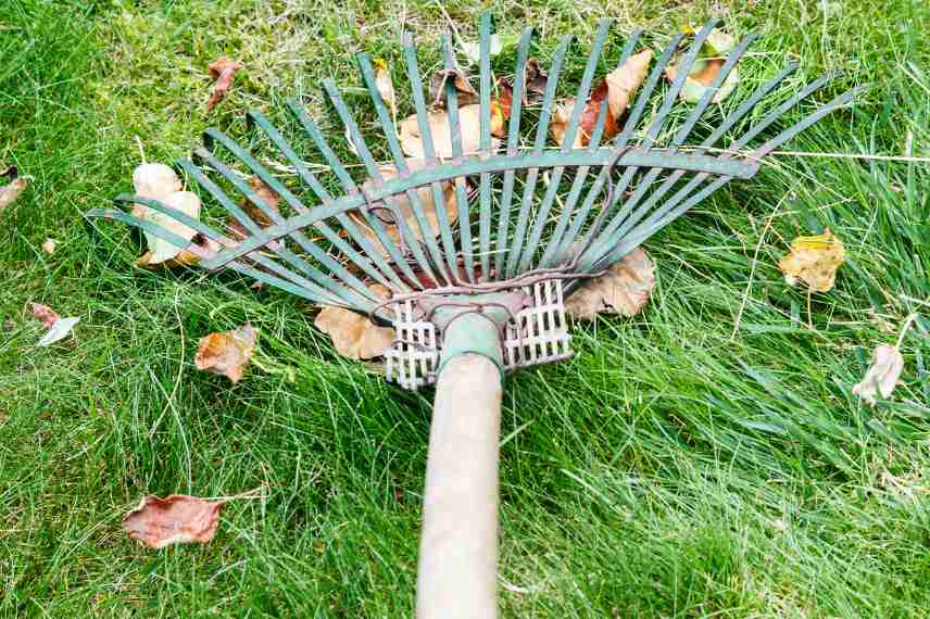etapes pour un beau gazon au printemps