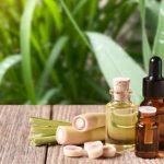 Comment faire de l’huile de citronnelle maison ?