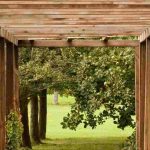 Le bois au jardin : idées et inspirations