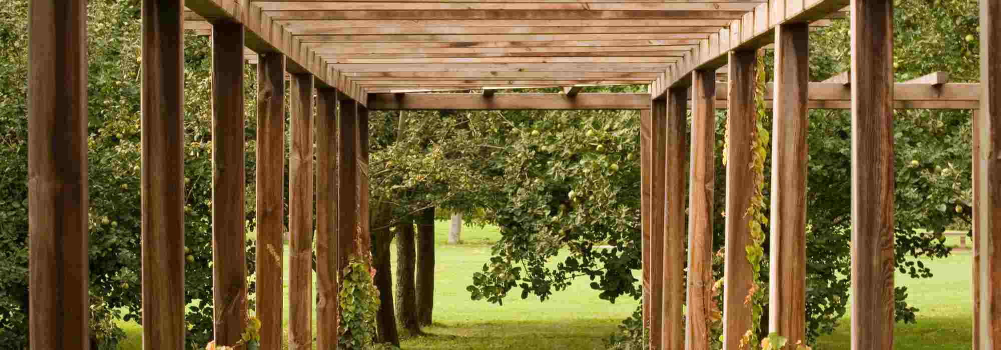 Le bois au jardin : idées et inspirations