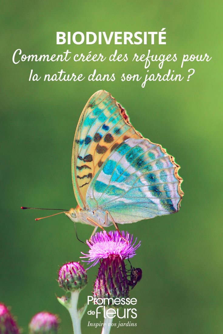 aider la faune du jardin
