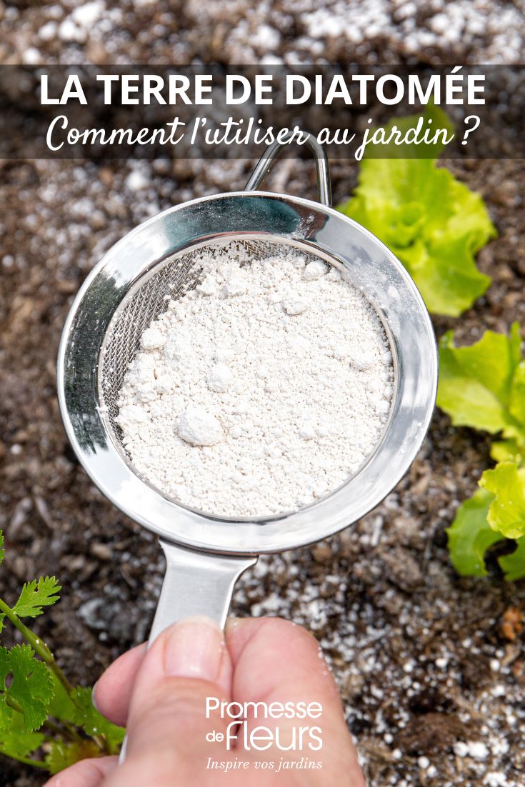 terre de diatomée au potager