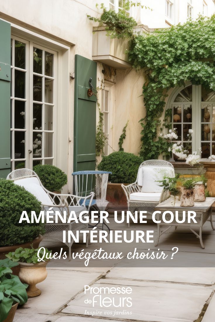 que planter dans une cour ?