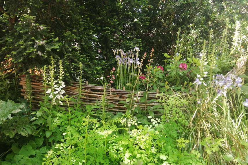 Jardin naturaliste - bordure en plessis