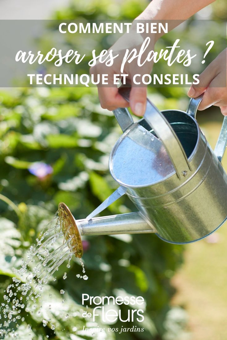 arroser correction ses plantes