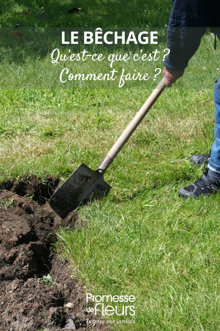 becher le jardin, comment faire ?