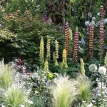 Eden fantasmé : la tendance jardin la plus immersive de 2025