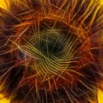 Des plantes annuelles XXL pour un effet spectaculaire au jardin