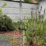 Comment redonner vie à un vieux jardin à l’abandon, étape par étape