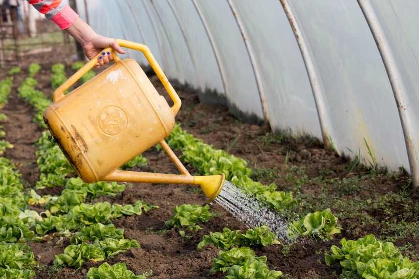 serre erreur arrosage