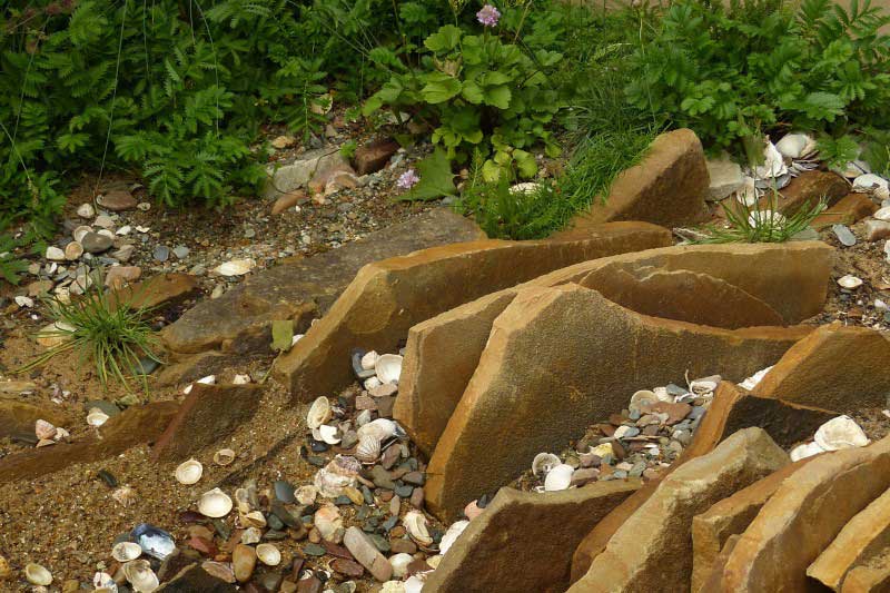 Chelsea Flower Show 2025 - Jardin Seawilding