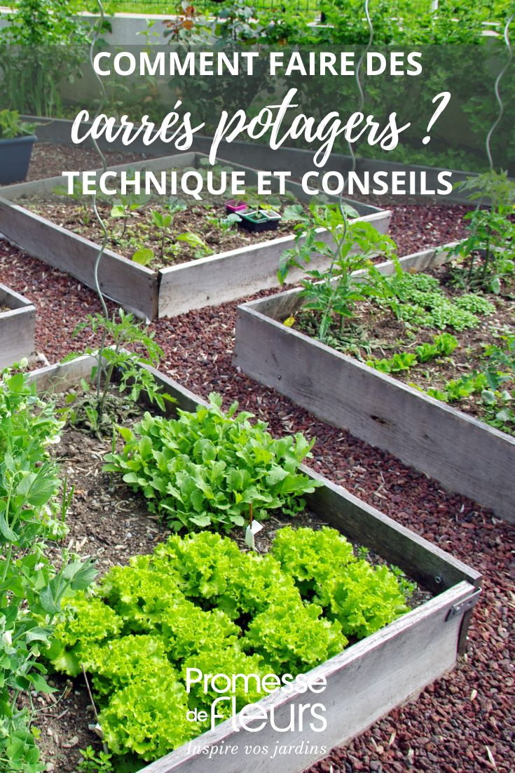 carrés potagers au jardin
