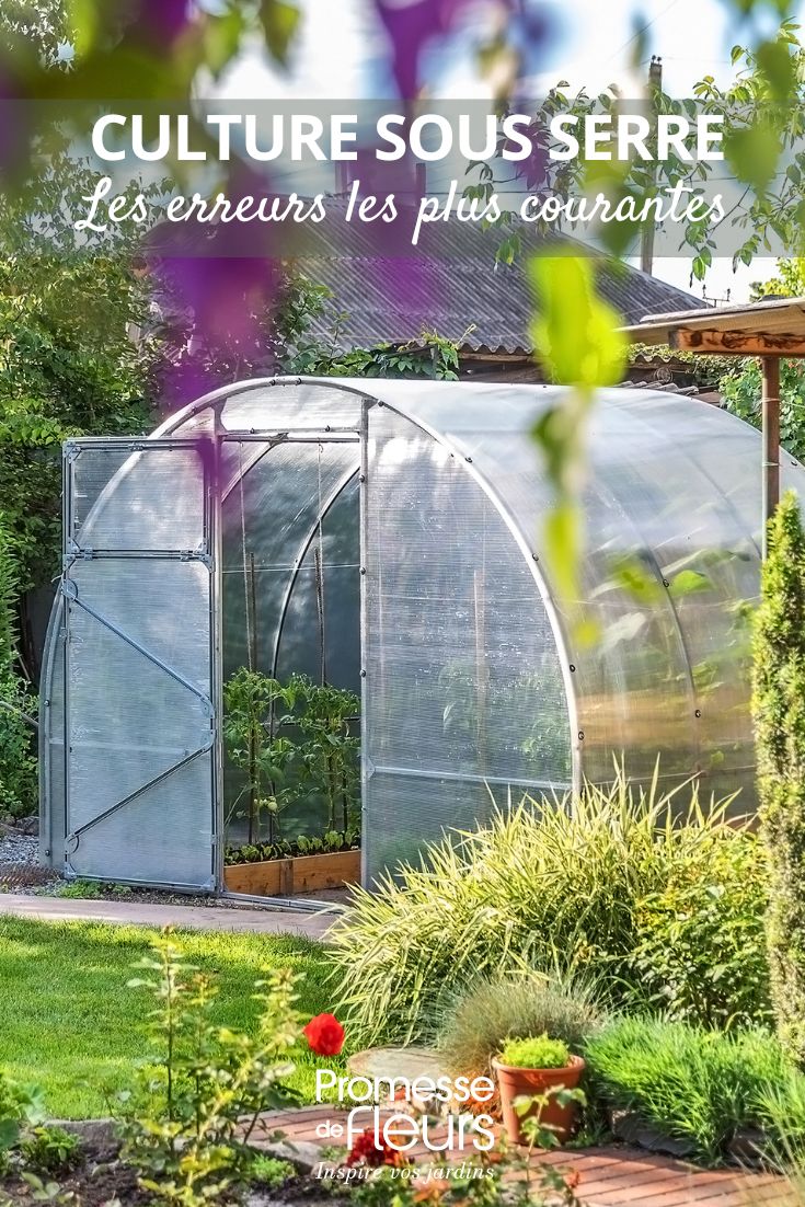 plantation en serre, les bonnes pratiques et les bons gestes