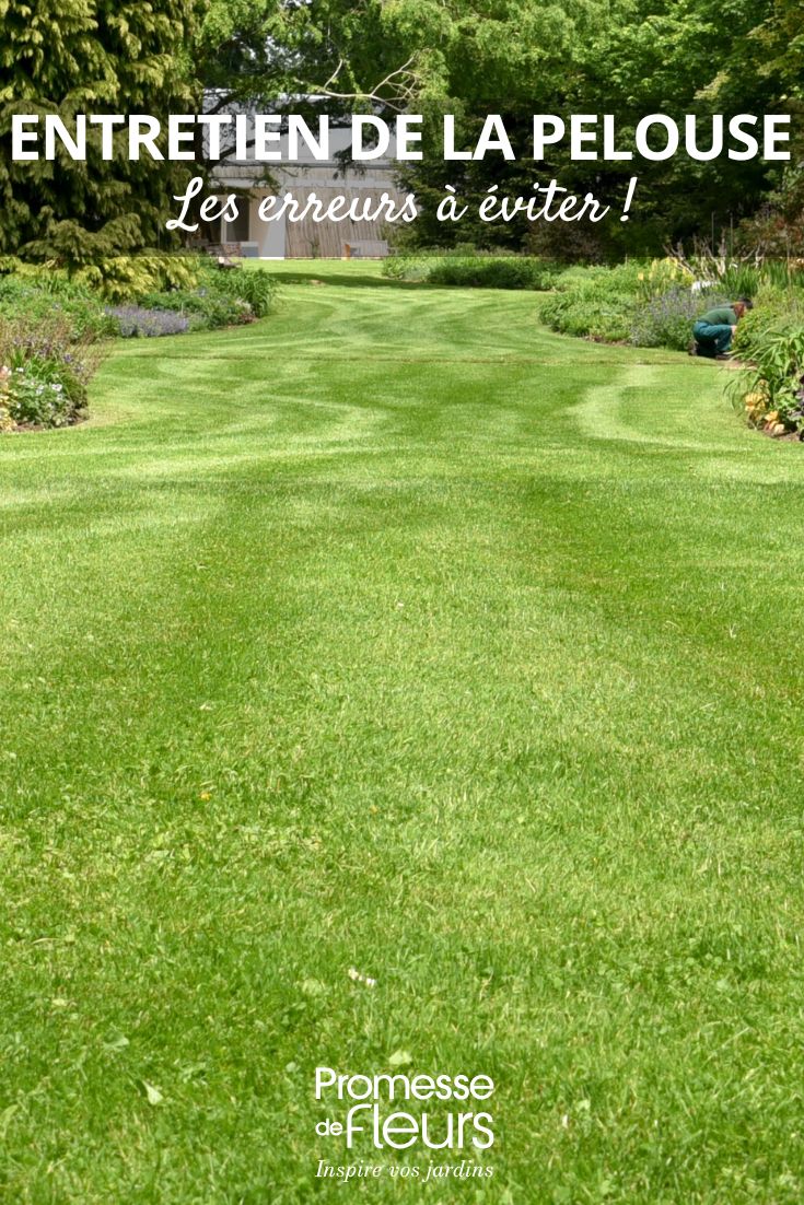 pelouse : les erreurs à éviter pour un beau gazon