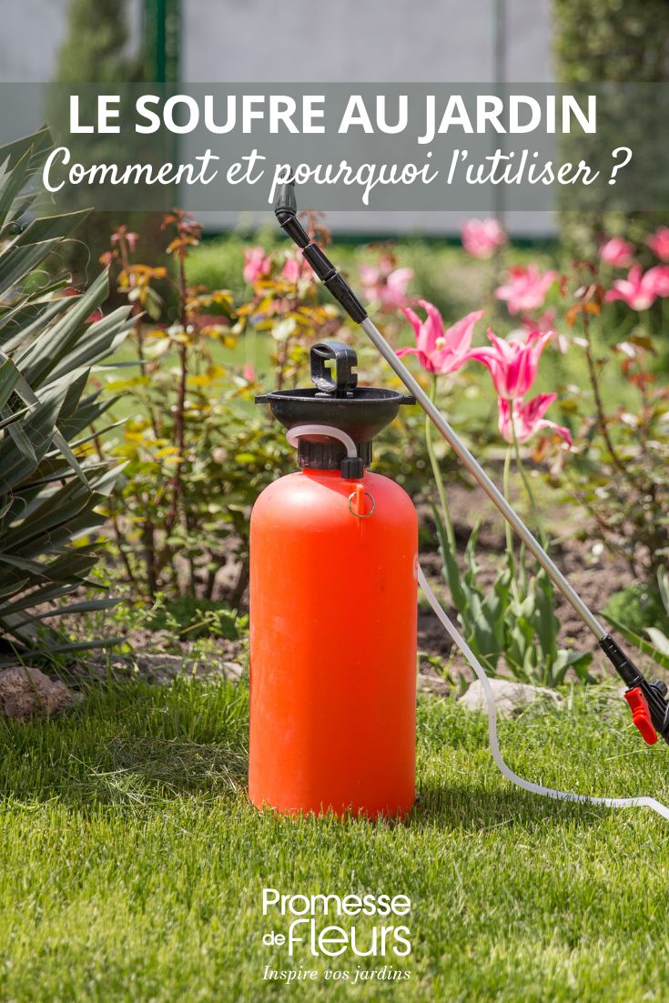 utilisation du soufre au jardin