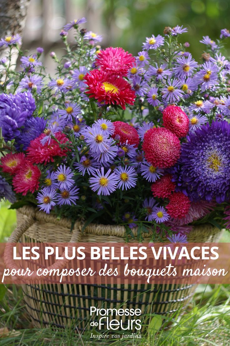 DES BOUQUETS DE FLEURS VIVACES