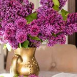 Quels arbustes choisir pour composer de beaux bouquets toute l’année ?