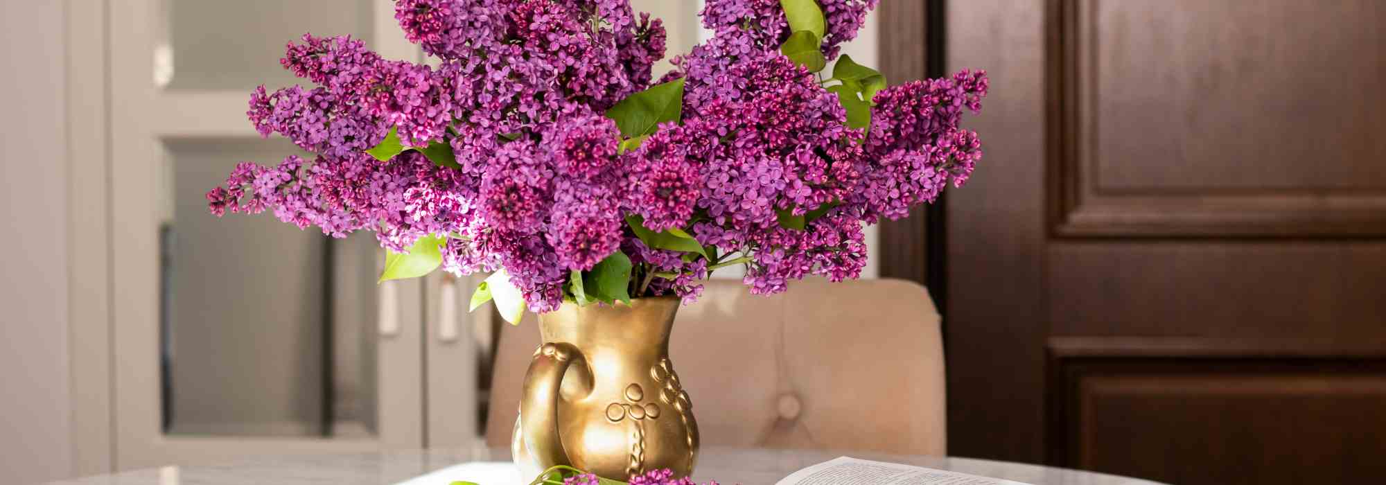 Quels arbustes choisir pour composer de beaux bouquets toute l’année ?