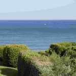 Les meilleurs arbustes pour climat océanique et de bord de mer