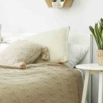 Les plantes d'intérieur parfaites pour une chambre : notre guide pratique