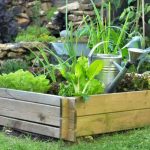 Comment faire des carrés potagers ?