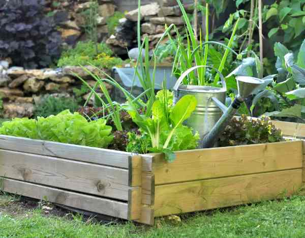 Comment faire des carrés potagers ?