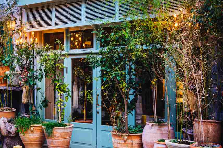 Landscaping, jardin de pots