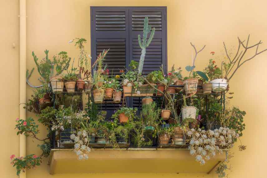 potscaping, jardin en pots idees amenagement