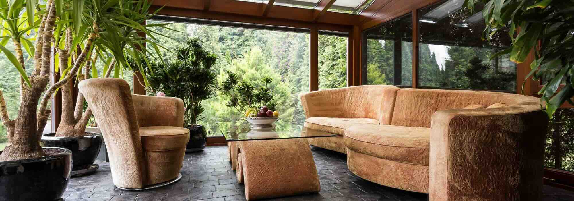 Les plantes d’intérieur idéales pour une véranda